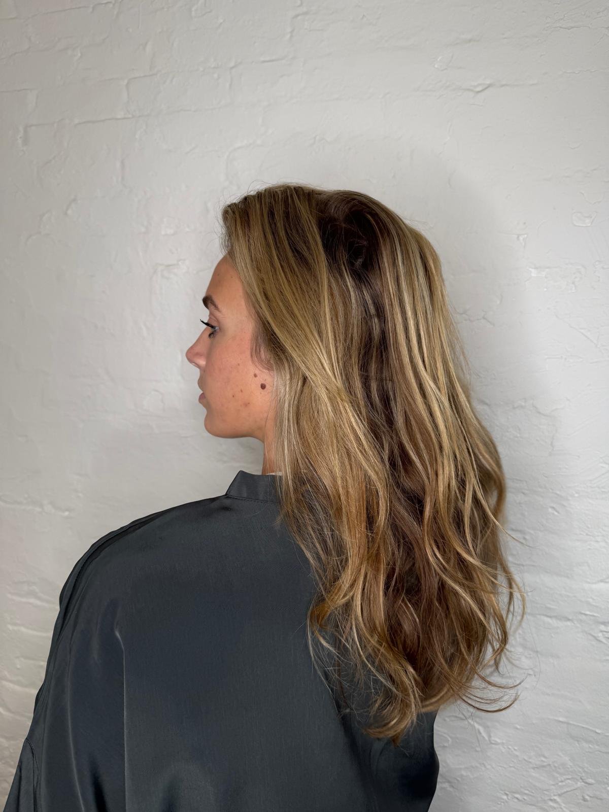 Before organic color refresh at Williamsburg Blow Bar